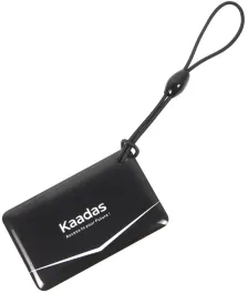 Карта доступа к замку Kaadas