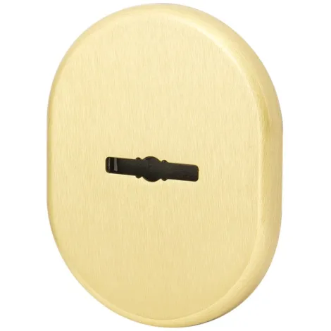 Декоративная накладка на сувальдный замок со шторкой Armadillo PS-DEC CT (ATC Protector 1) SG-1 Матовое золото