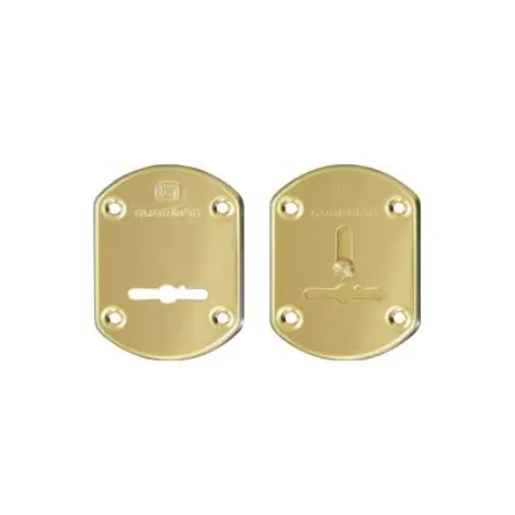 Накладки сувальдные \"Гардиан\" латунь ГЛ 21 /пара/, объемная /123:471/