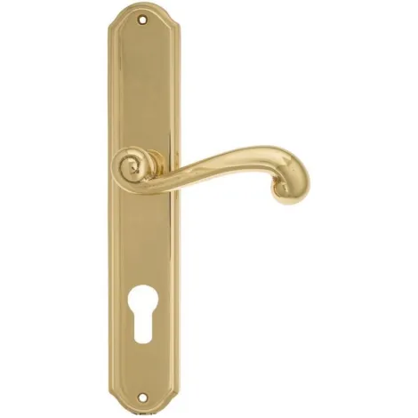 Дверная ручка Venezia \"CARNEVALE\" CYL на планке PL02 полированная латунь