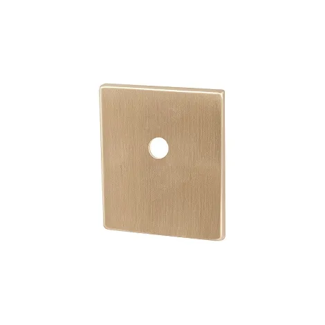 Накладка на шток цилиндра Armadillo ESC.O.USS/K (BK Protector/USS) FSG флорентийское золото