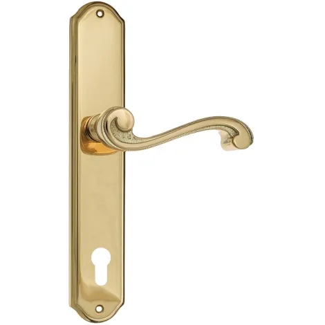 Дверная ручка Venezia \"VIVALDI\" CYL на планке PL02 полированная латунь