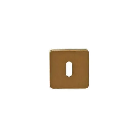 Накладка под ключ Буратино на квадратном основании Colombo PT 13 BB матовый винтаж