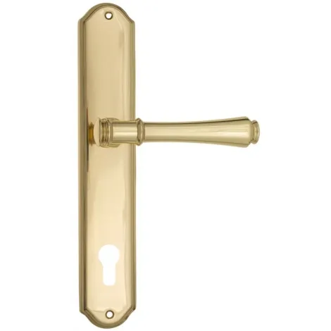 Дверная ручка Venezia \"CALLISTO\" CYL на планке PL02 полированная латунь