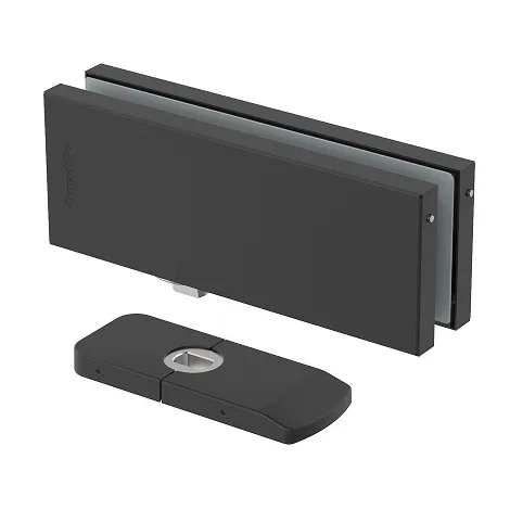 Петля-доводчик для стеклянной двери Armadillo Range.GL.H10 BL черный