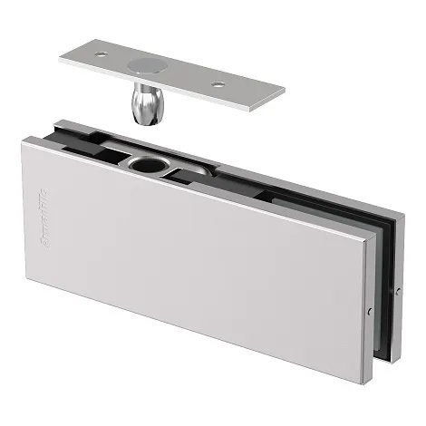 Петля верхняя с осью для стеклянной двери Armadillo Range.GL.H20 SS нержавеющая сталь