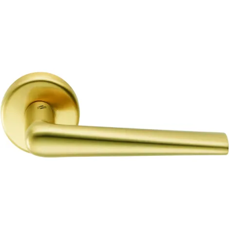 Дверная ручка на круглом основании Colombo Robotre матовое золото