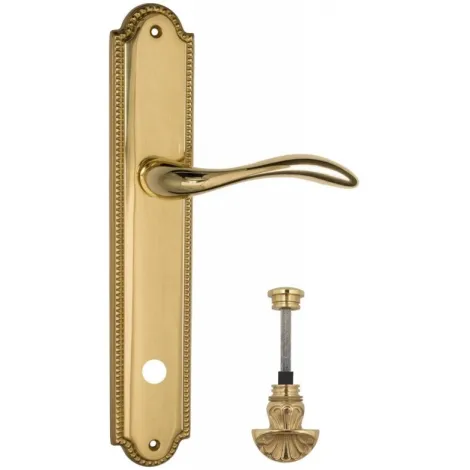 Дверная ручка Venezia \"ALESSANDRA\" WC-4 на планке PL98 полированная латунь