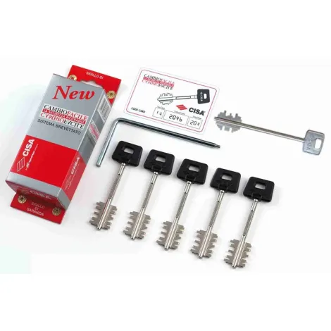 Комплект ключей Cisa для кодирования \"New Cambio\" 06.520.61.1, (5 ключей 00163)