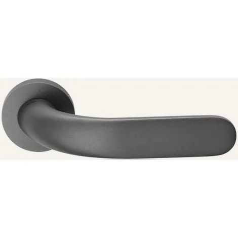 Дверная ручка на круглом основании Linea Cali POINT 1595/025 AS антрацит матовый