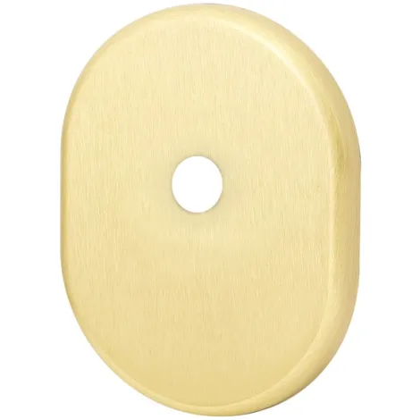 Декоративная накладка на цилиндр со штоком Armadillo BK-DEC (ATC Protector 1) SG-1 матовое золото