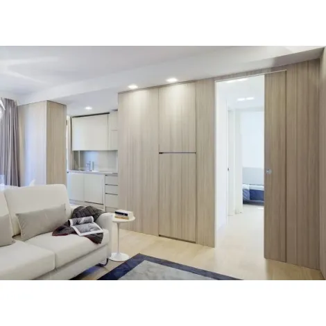 Пенал для одной раздвижной двери без обрамления ROLAPP STEALTH 800х2400 мм