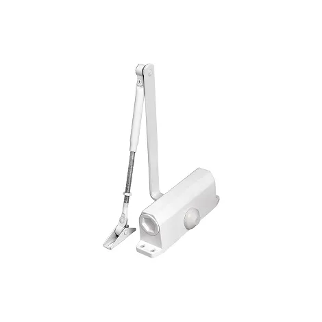 Доводчик Ajax дверной DCTR50-100 hold open WH белый