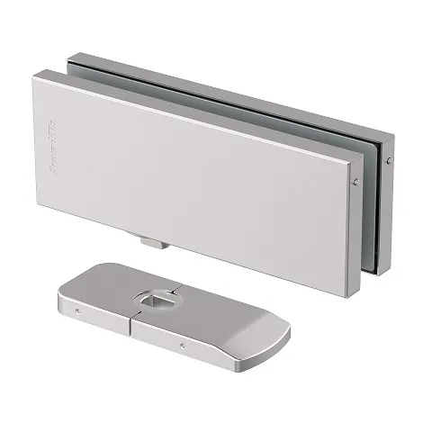 Петля-доводчик для стеклянной двери Armadillo Range.GL.H10 SS нержавеющая сталь