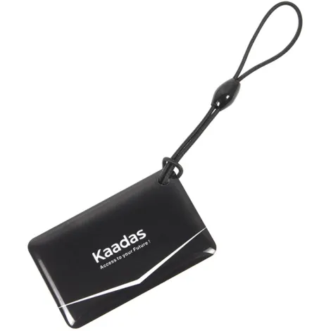 Карта доступа к замку Kaadas